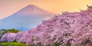 Obraz piękna Japonia
