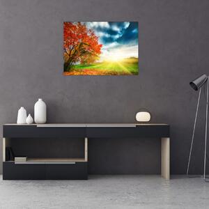 Obraz na szkle skąpanego w słońcu krajobrazu (70x50 cm)