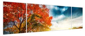 Obraz skąpanego w słońcu krajobrazu (170x50 cm)