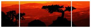 Obraz - Zachód słońca (170x50 cm)