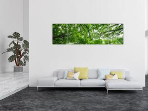 Obraz - Widok do korony drzewa (170x50 cm)