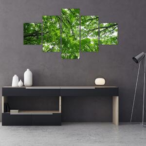 Obraz - Widok do korony drzewa (125x70 cm)
