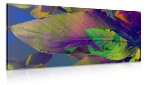 Obraz liści zalanych kolorami