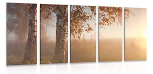 5-częściowy obraz mglisty jesienny las
