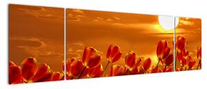 Obraz kwitnącego pola z tulipanami (170x50 cm)