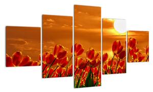 Obraz kwitnącego pola z tulipanami (125x70 cm)