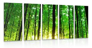 5-częściowy obraz bujny zielony las