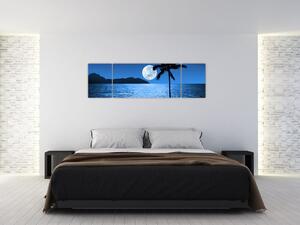 Obraz - Księżyc nad poziomem morza (170x50 cm)