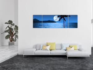 Obraz - Księżyc nad poziomem morza (170x50 cm)