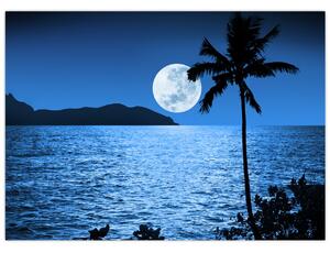 Obraz - Księżyc nad poziomem morza (70x50 cm)