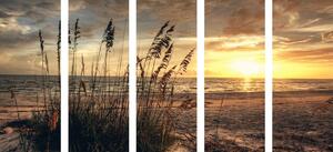 5-częściowy obraz zachód słońca na plaży