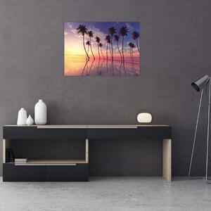 Obraz palm wznoszących się nad powierzchnią (70x50 cm)