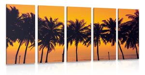 5-częściowy obraz zachód słońca nad palmami