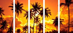 5-częściowy obraz palmy kokosowe na plaży
