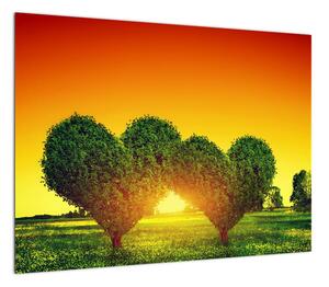 Obraz - Serce w koronach drzew (70x50 cm)