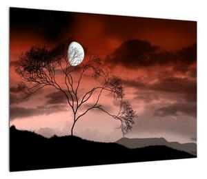 Obraz - Księżyc oświetlający noc (70x50 cm)