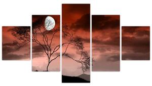 Obraz - Księżyc oświetlający noc (125x70 cm)