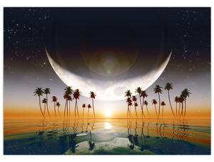Obraz - Księżyc nad palmami (70x50 cm)