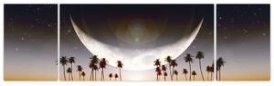 Obraz - Księżyc nad palmami (170x50 cm)