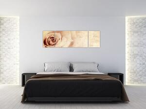 Obraz - Kwiat róży dla zakochanych (170x50 cm)