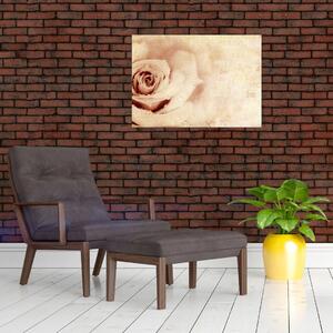 Obraz - Kwiat róży dla zakochanych (70x50 cm)