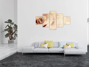 Obraz - Kwiat róży dla zakochanych (125x70 cm)