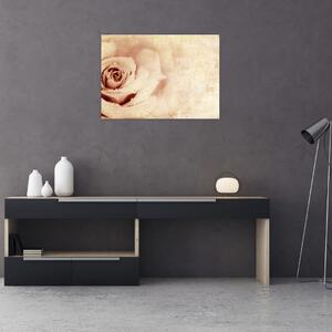 Obraz - Kwiat róży dla zakochanych (70x50 cm)