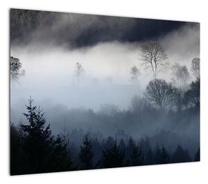 Obraz mgły nad lasem (70x50 cm)