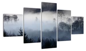 Obraz mgły nad lasem (125x70 cm)