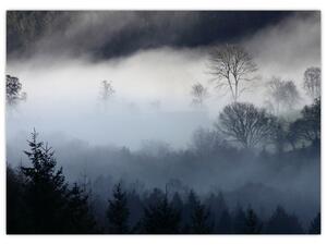 Obraz mgły nad lasem (70x50 cm)