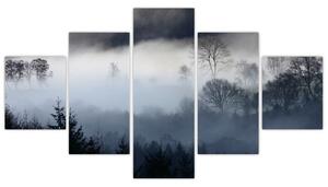 Obraz mgły nad lasem (125x70 cm)