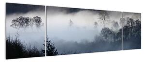 Obraz mgły nad lasem (170x50 cm)
