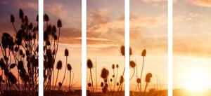 5-częściowy obraz źdźbła trawy o wschodzie słońca