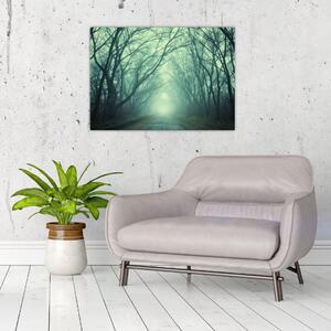 Obraz - Droga z aleją drzew (70x50 cm)