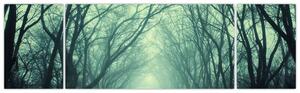Obraz - Droga z aleją drzew (170x50 cm)