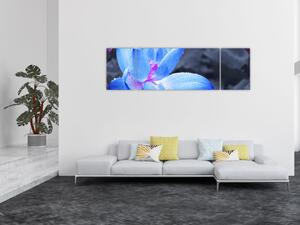 Obraz szczegółu kwiatu (170x50 cm)