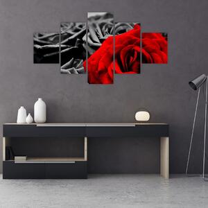 Obraz - Kwiaty róży (125x70 cm)