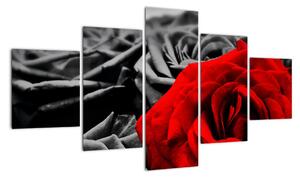 Obraz - Kwiaty róży (125x70 cm)