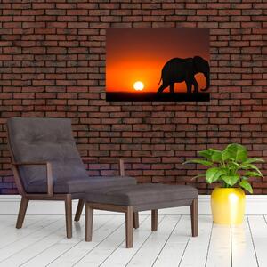 Obraz słonia o zachodzie słońca (70x50 cm)