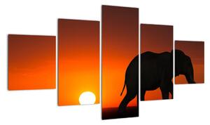 Obraz słonia o zachodzie słońca (125x70 cm)