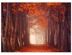 Obraz - Jesienny las (70x50 cm)