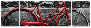 Obraz - Zabytkowy rower (170x50 cm)