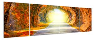 Obraz - Brama wykonana z koron drzew (170x50 cm)