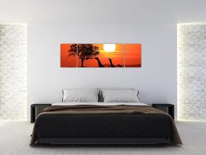 Obraz żyraf o zachodzie słońca (170x50 cm)