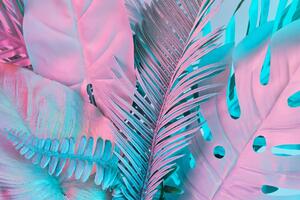 Obraz liście palmowe w niezwykłych neonowych kolorach