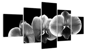 Obraz kwiatu orchidei (125x70 cm)