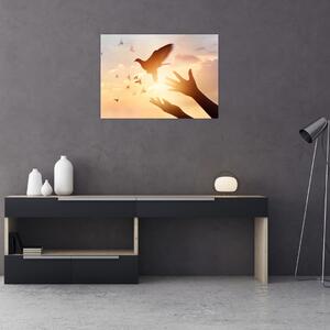 Obraz - Mała gołębico, leć! (70x50 cm)