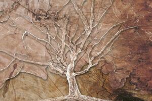 Obraz korony drzewa z abstrakcyjnym odcieniem