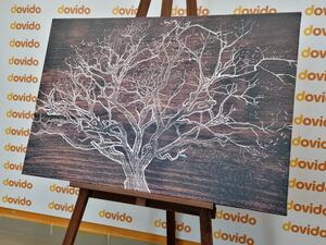 Obraz korony drzewa na drewnianym tle