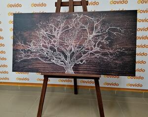 Obraz drzewa na drewnianym tle